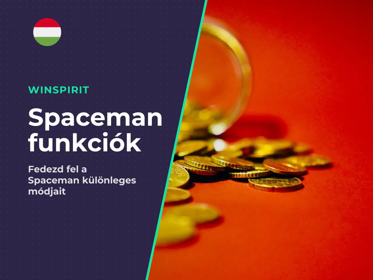 50 Auto Cashout és kockázatmegosztás. Ez