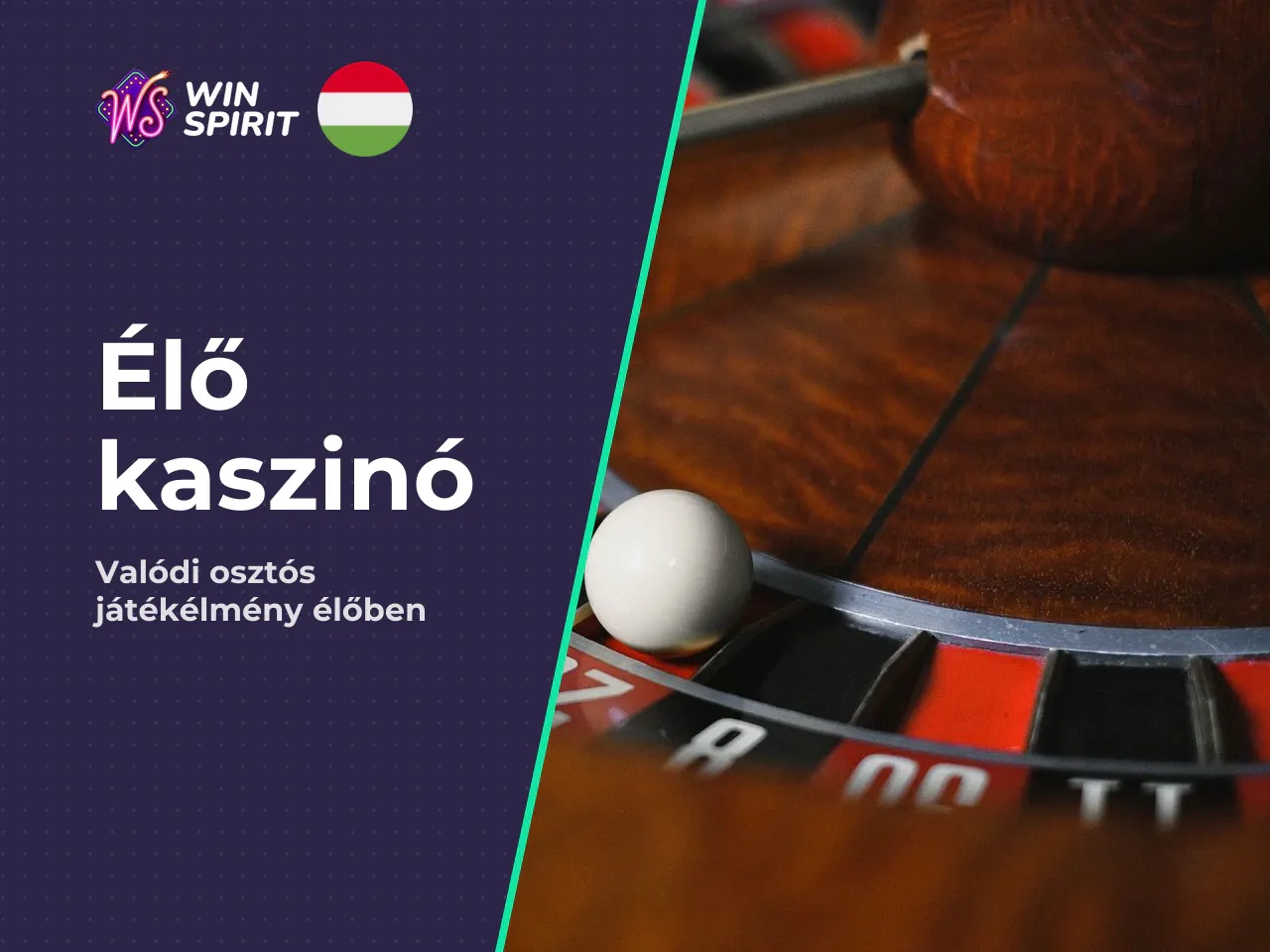 Live casino studios Vivo Gaming, ELA